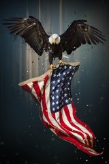 Eagle Flag